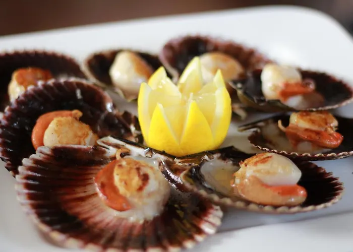 Отель Cosmopol Ларедо