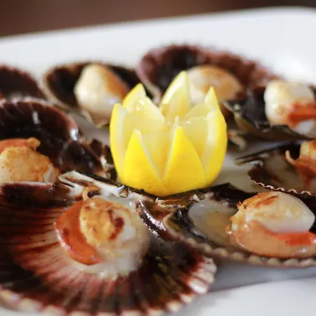 Hotel Cosmopol Laredo